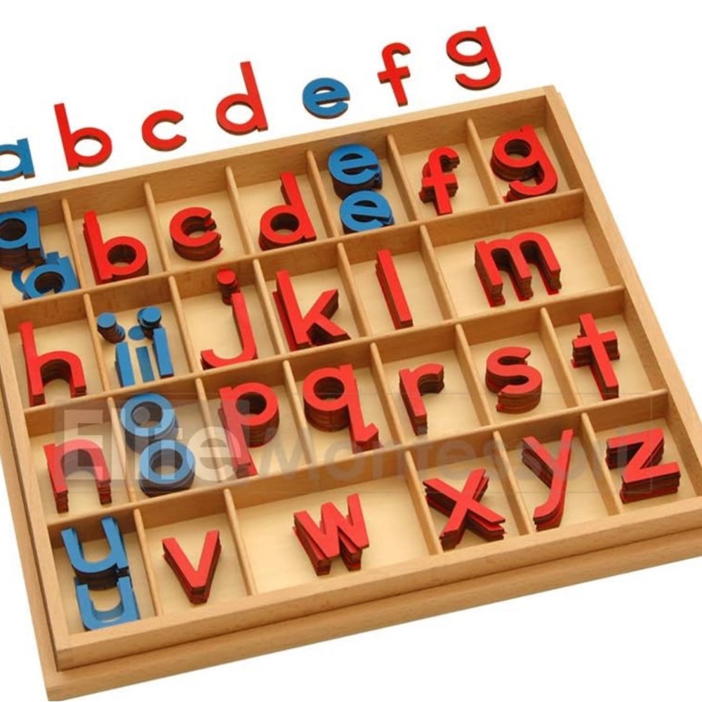 Montessori movable alphabet